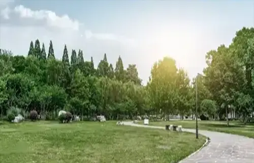 공원 사진